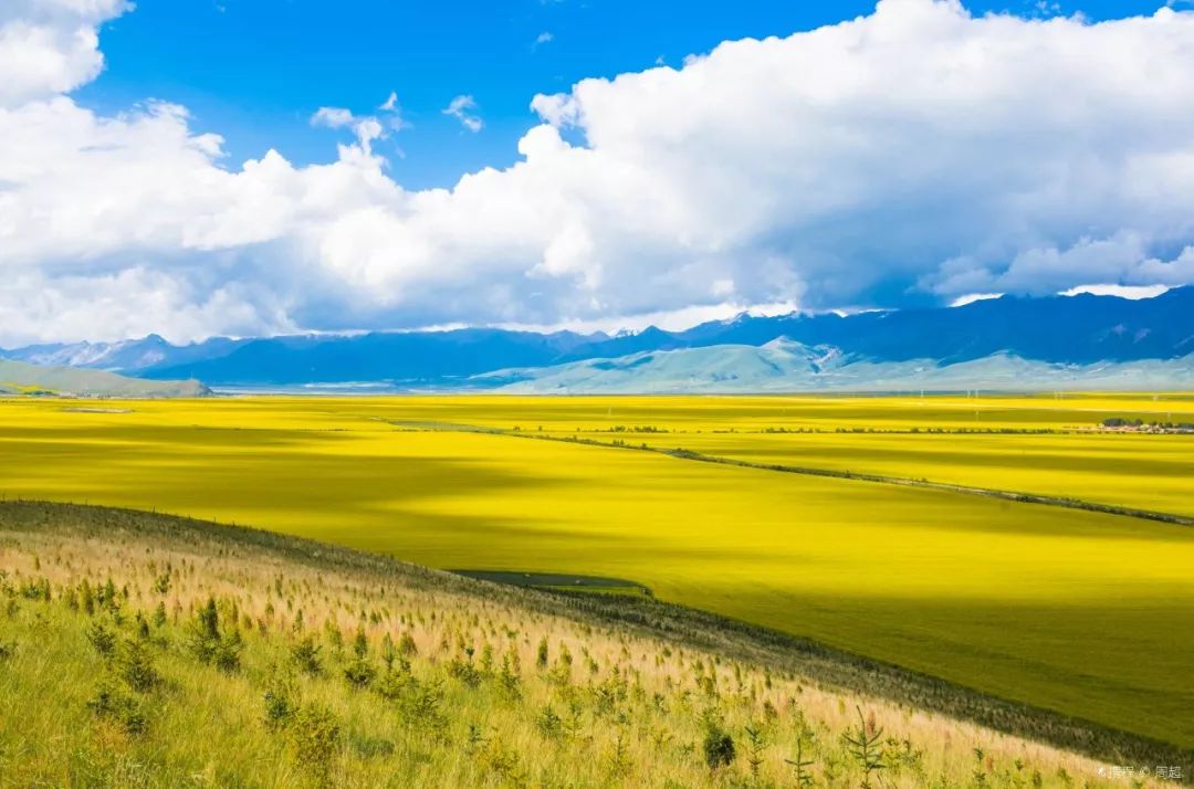 探寻青海秘境，心灵唤醒之旅