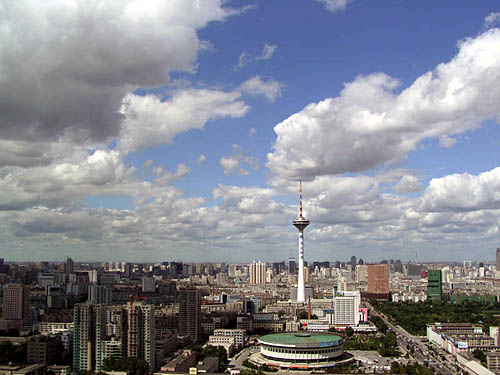 沈阳美食攻略，学习烹饪东北美食的详细步骤指南