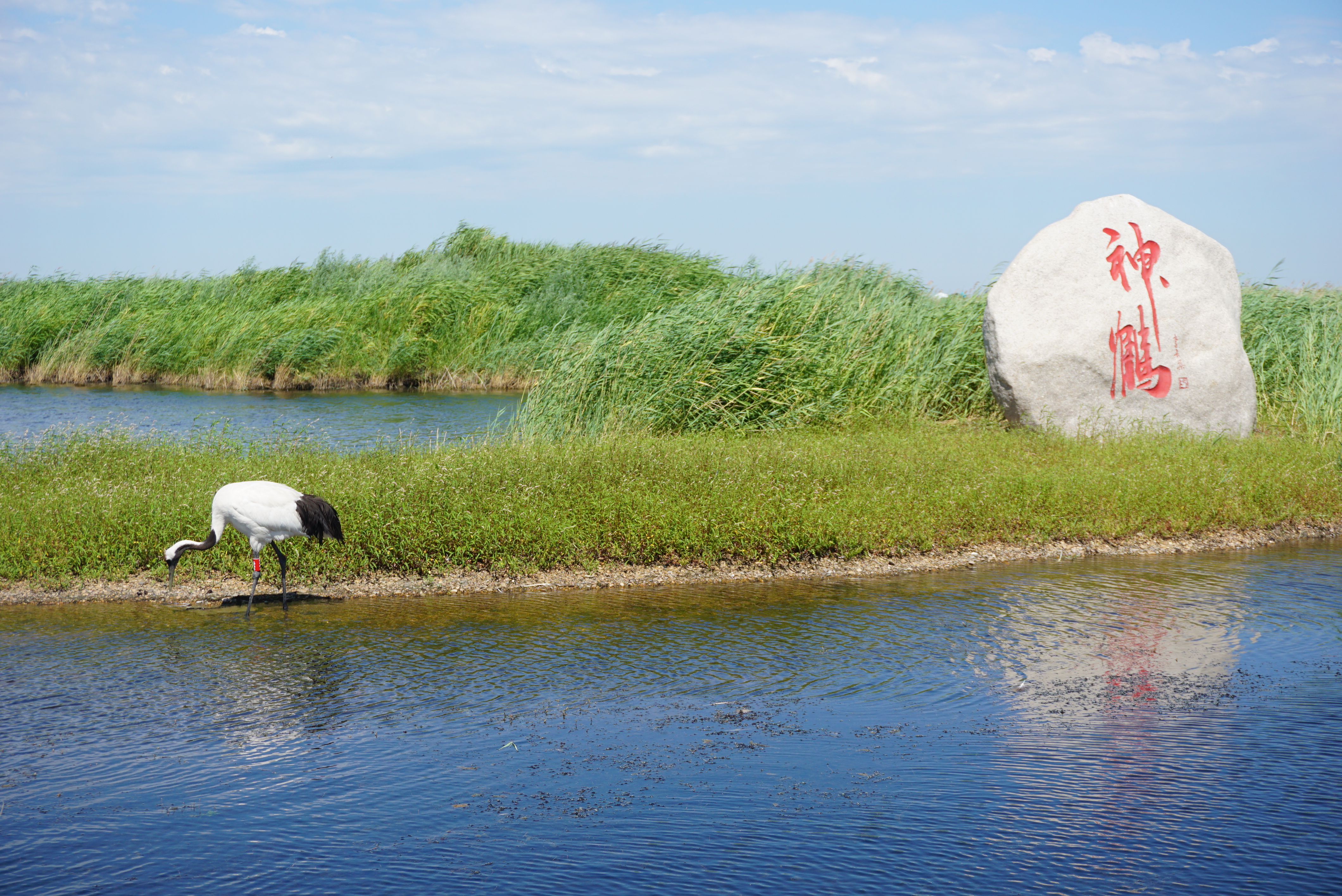 运城深巷中的秘密花园，一家特色小店探秘之旅