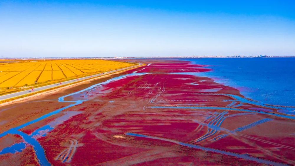 盘锦，湿地之都，自然与人文的交响乐章