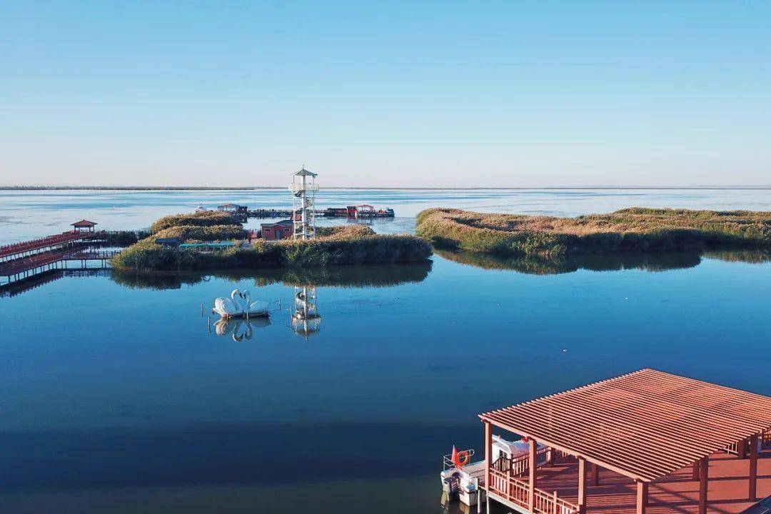 巴彦淖尔，黄河沙漠交融的草原画卷